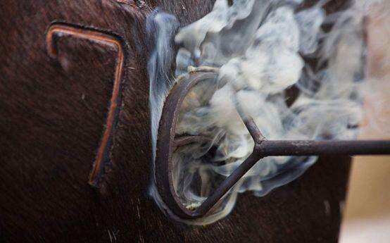 广告人干货库 对不起!你了解的品牌概念,并没有实操性-广告人干货库