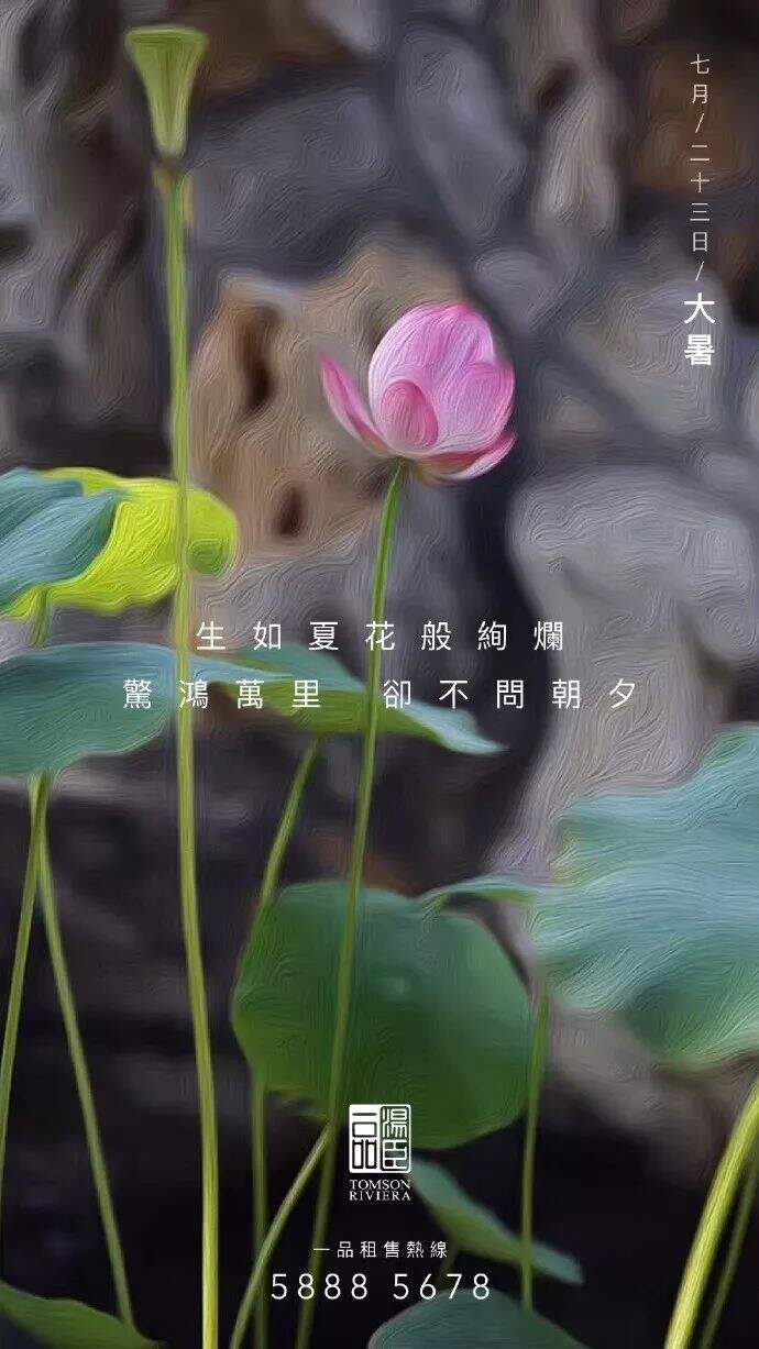 广告人干货库 2020下半年营销日历,广告人必蹭热点-广告人干货库