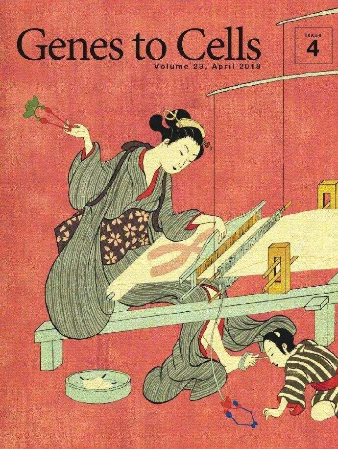 广告人干货库 看完这10个日本设计网站,我被浪花秀到了-广告人干货库