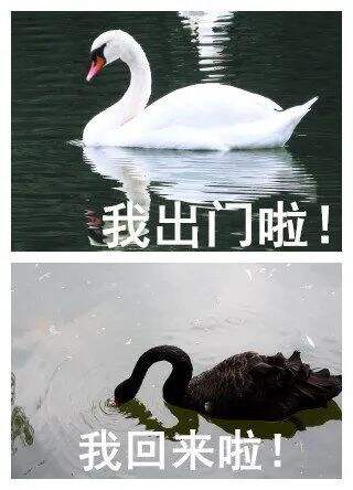广告人干货库 30℃+文案,不热!-广告人干货库
