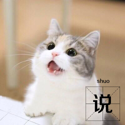 广告人干货库 网络创意方法之“说 ● 学 ● 逗 ● 唱”-广告人干货库
