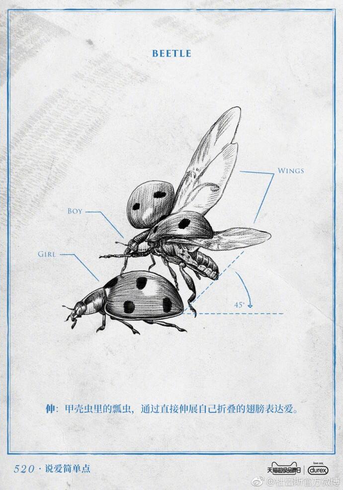 广告人干货库 网络创意方法之“说 ● 学 ● 逗 ● 唱”-广告人干货库