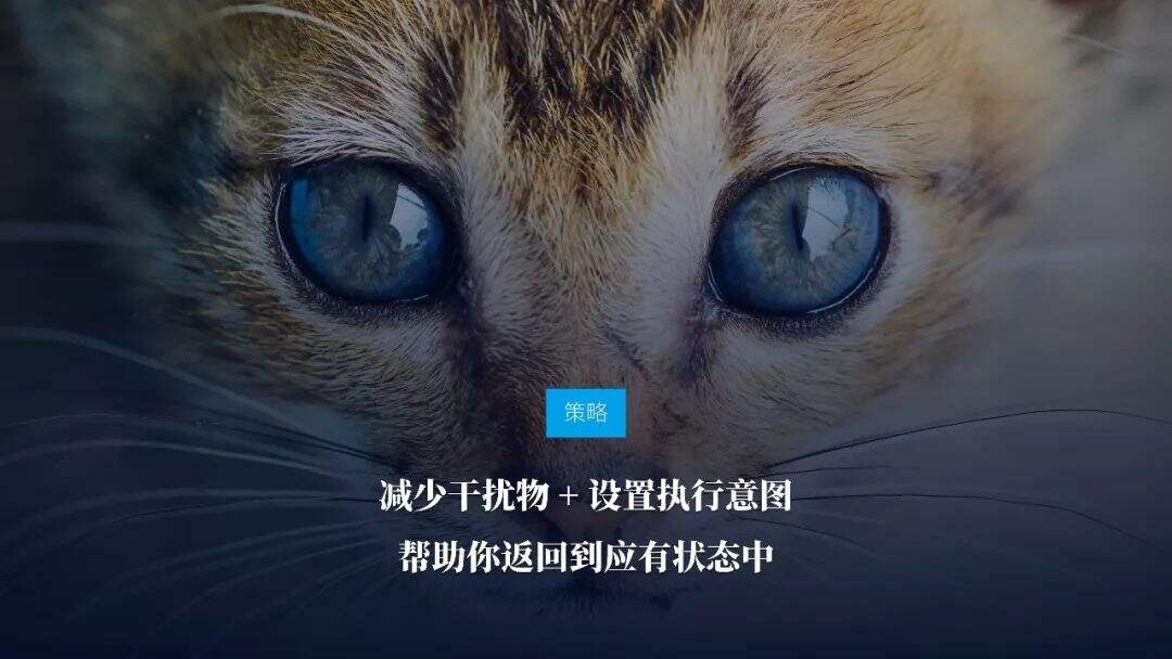 广告人干货库 即学即用!《战胜拖延症》PPT版读书笔记-广告人干货库