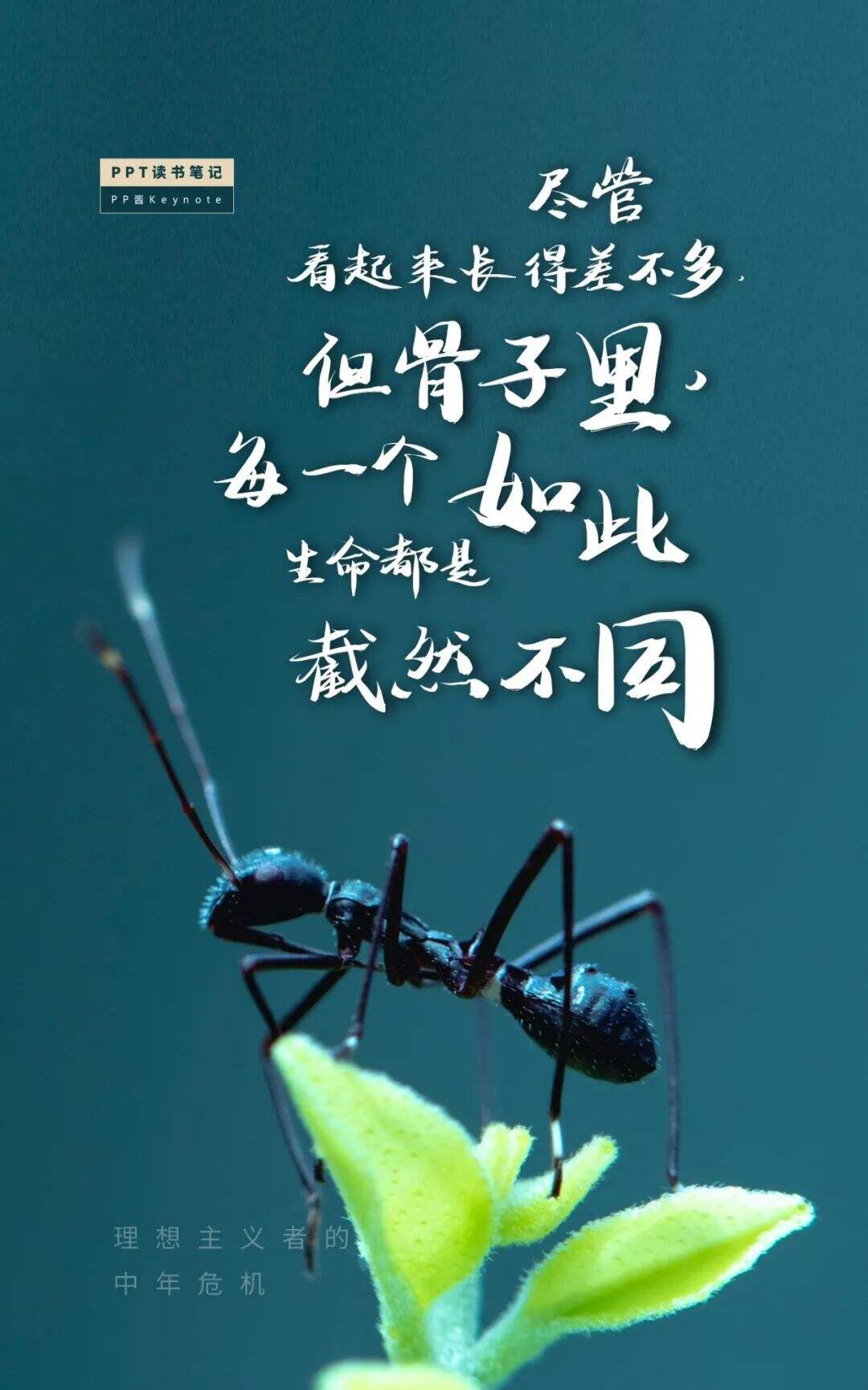 广告人干货库 生命不息,折腾不止丨老罗式金句,永远值得再看一遍(PPT版)-广告人干货库