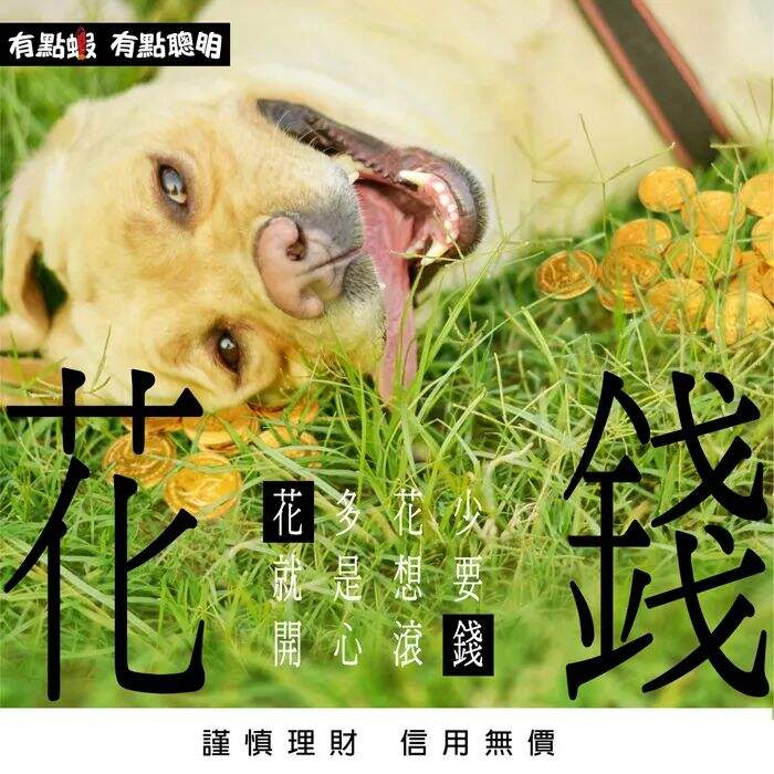 广告人干货库 广告人干货库