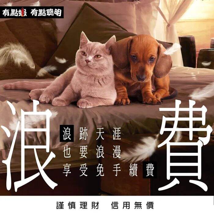 广告人干货库 广告人干货库
