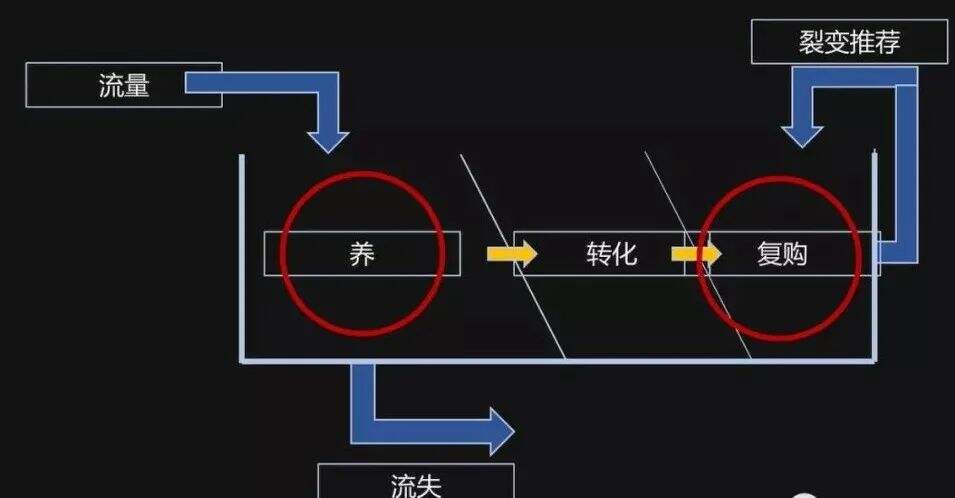 广告人干货库 关于私域流量,给运营者的17条建议!-广告人干货库