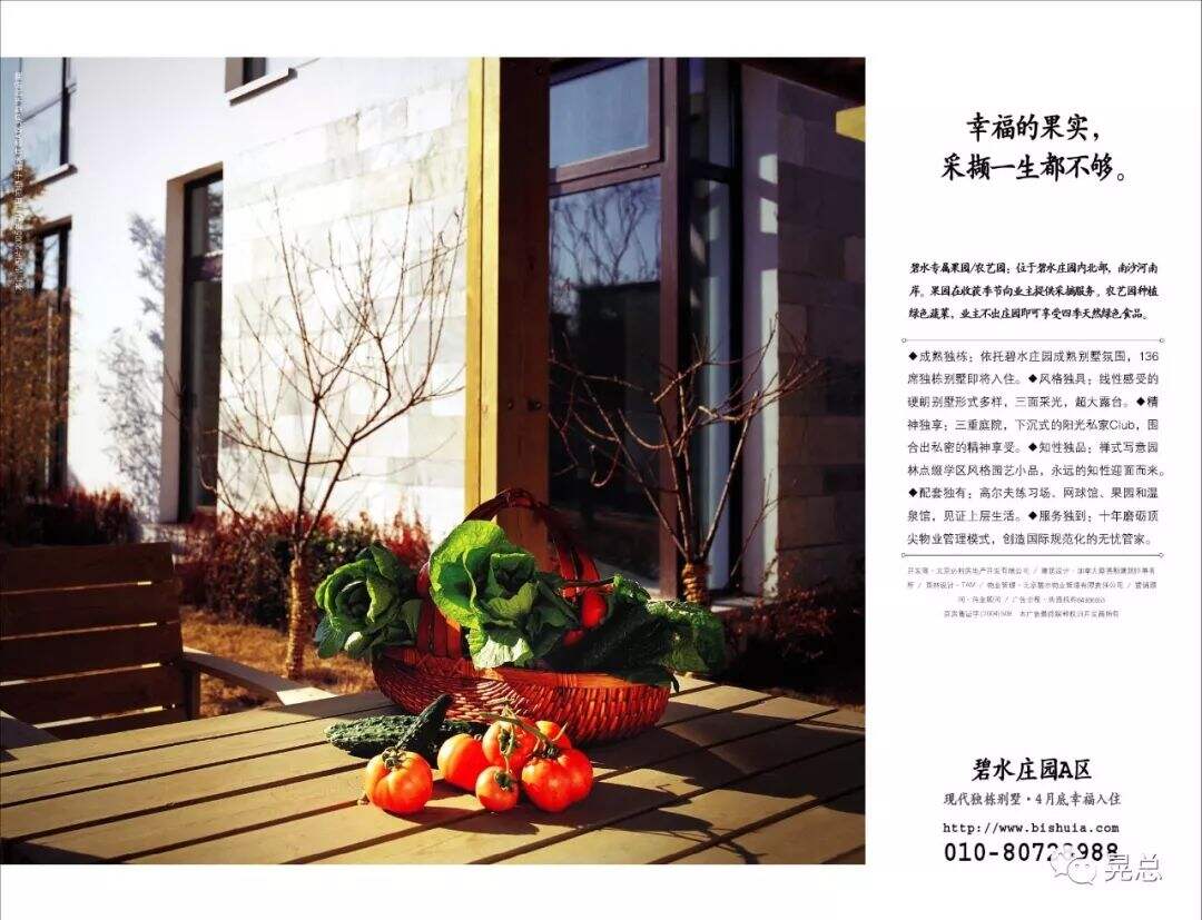 广告人干货库