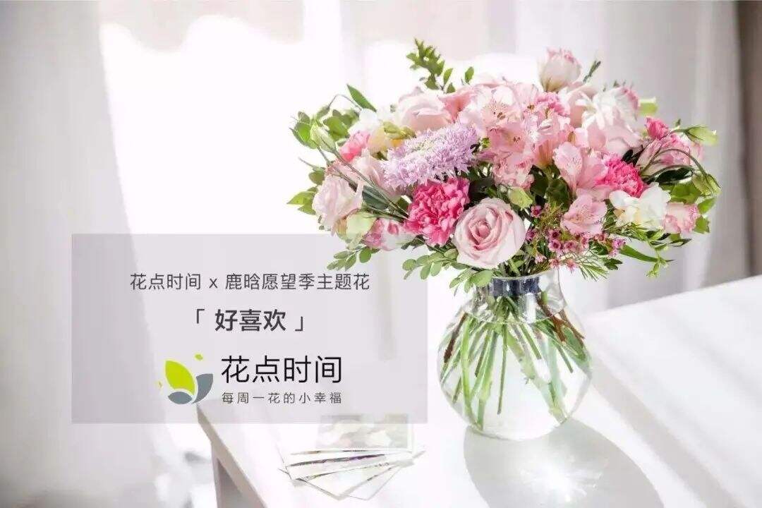 广告人干货库