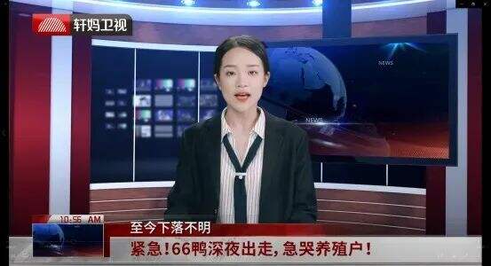 广告人干货库 广告人干货库