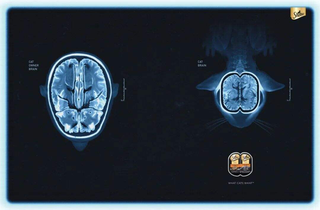 方案库 广告人必看,3月全球创意海报合集-广告人干货库