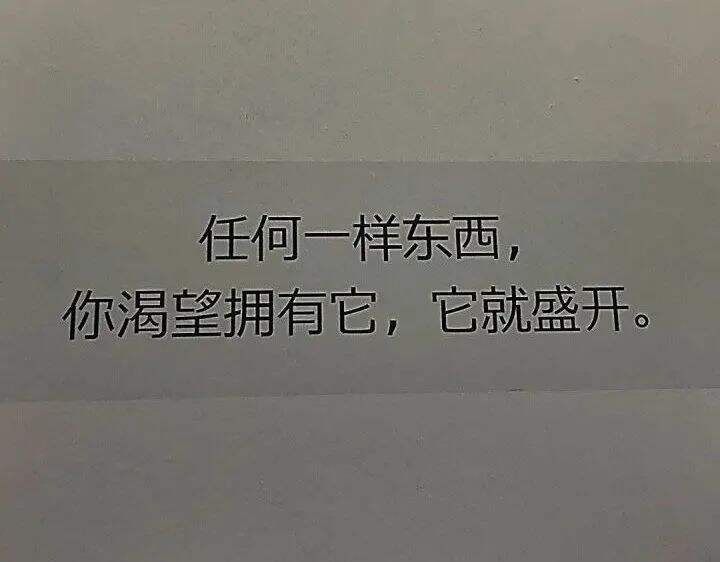 方案库 这些文案霸气又治愈,每一句都撞进我心里-广告人干货库