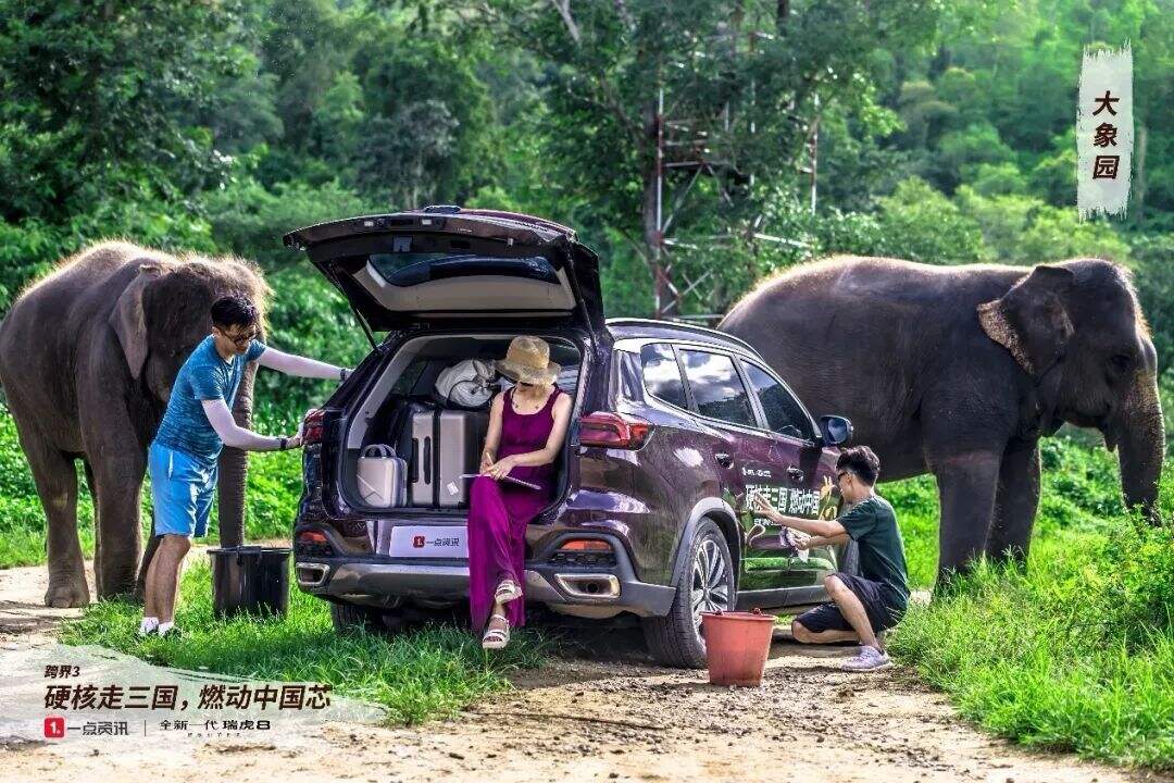 方案库 热点易逝,不如自造IP-广告人干货库