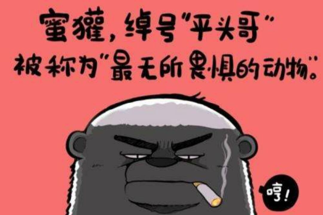 方案库 别动不动就看不起“洗脑”广告!-广告人干货库