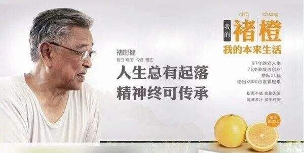 广告人干货库 广告人干货库