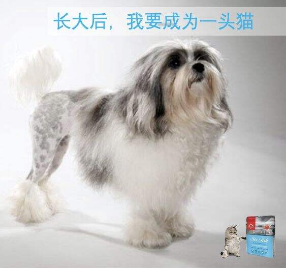 广告人干货库 广告人干货库