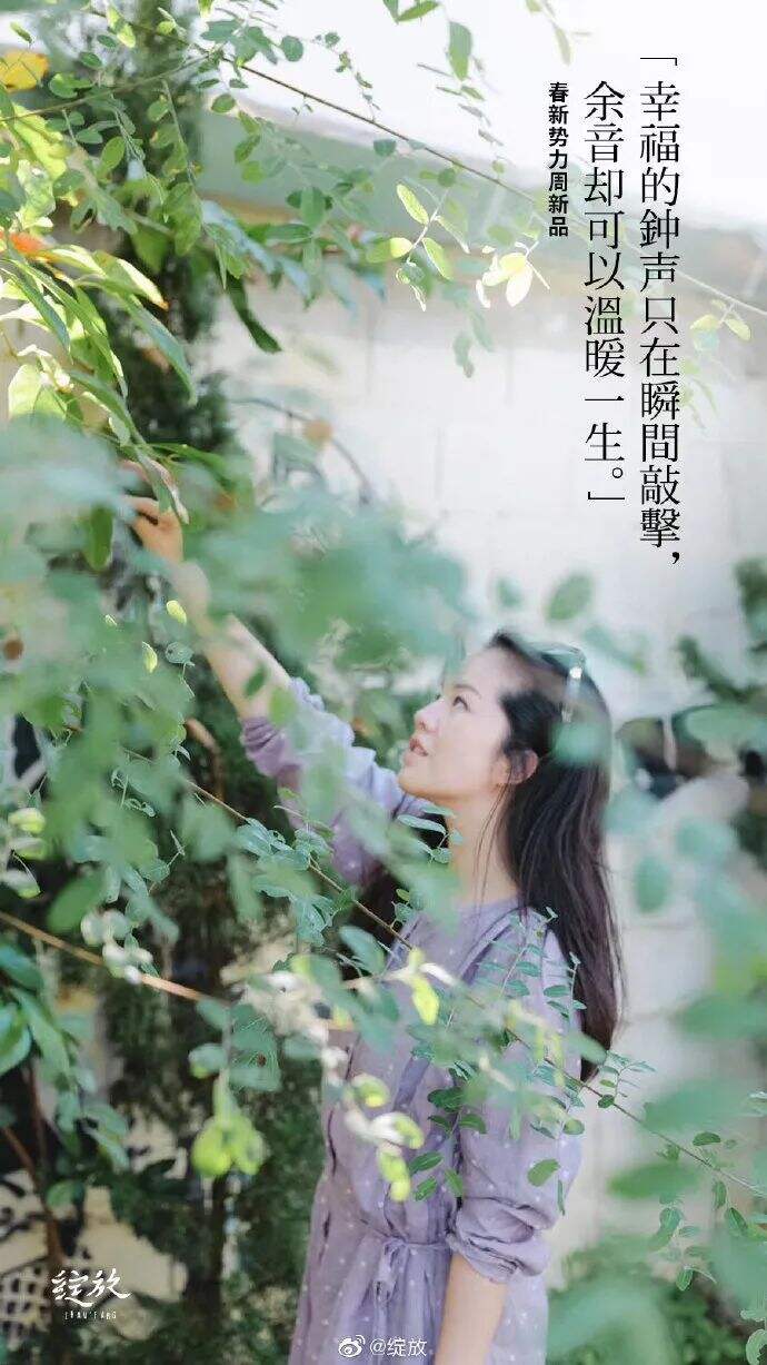 广告人干货库