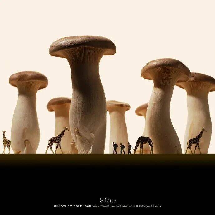广告人干货库 广告人干货库