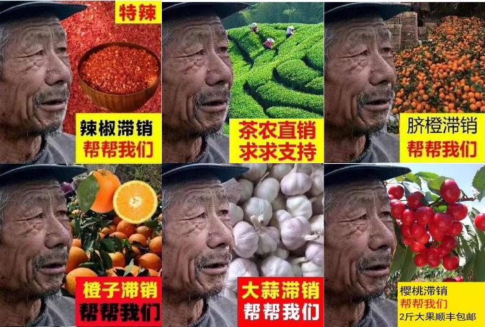 广告人干货库 广告人干货库