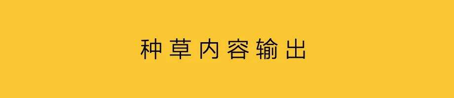 广告人干货库 明星代言,不止粉丝营销-广告人干货库