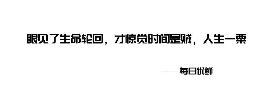 广告人干货库