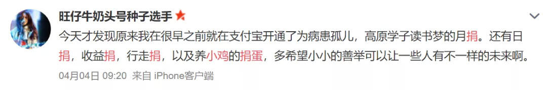 广告人干货库 支付宝小鸡离家出走后,网友神回复让我笑岔气-广告人干货库