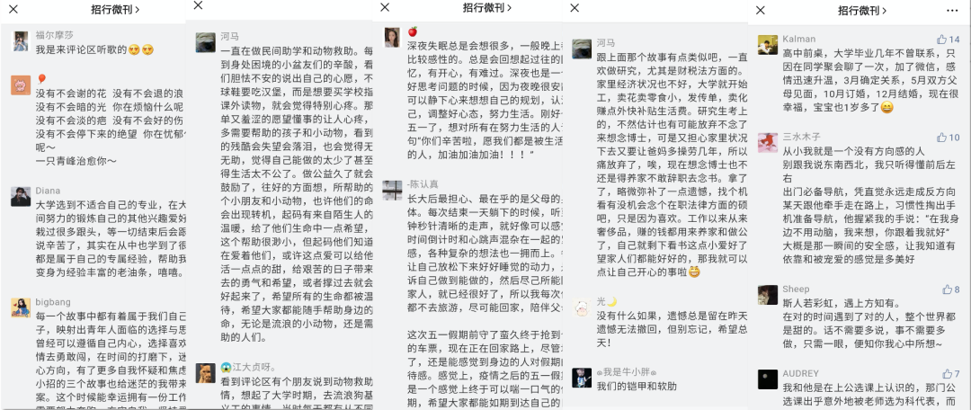 广告人干货库 从综艺IP到私域IP,品牌如何「一招就行」-广告人干货库