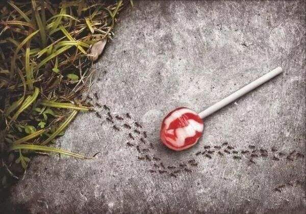 广告人干货库 广告人干货库