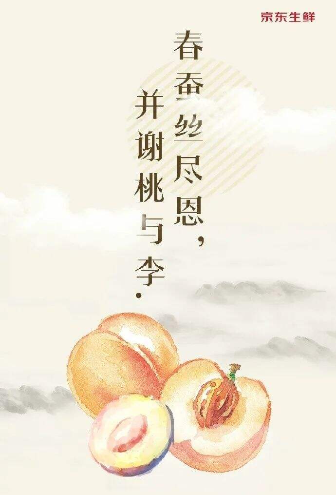广告人干货库 广告人干货库