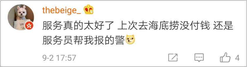 海底捞竟然有这么多“隐藏业务”？99%的人都不知道！-广告人干货库