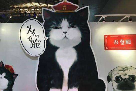 广告人干货库 17个活动现场品牌logo露出的方法-广告人干货库