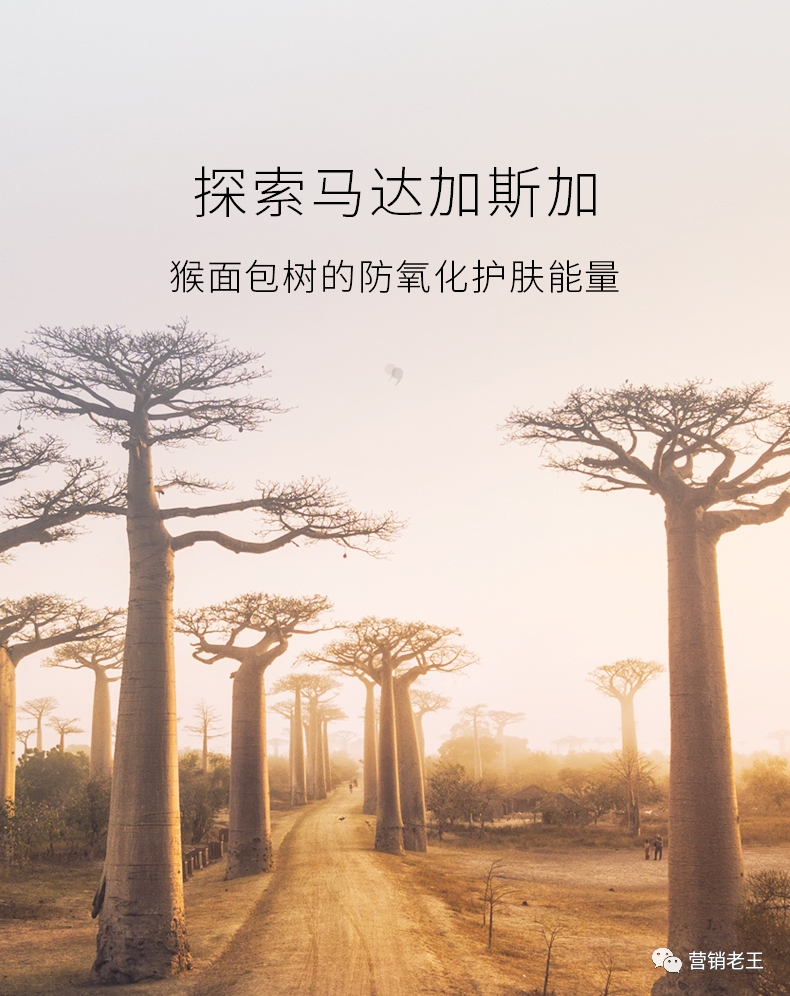 广告人干货库 广告人干货库