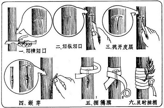 广告人干货库 广告人干货库