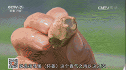 广告人干货库 为什么那些营销人做的广告很Low,赚钱却比你多?-广告人干货库