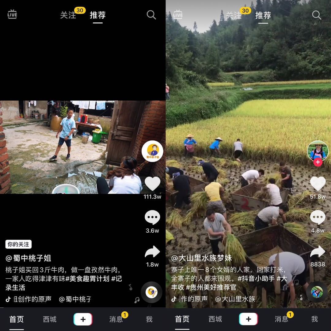 广告人干货库