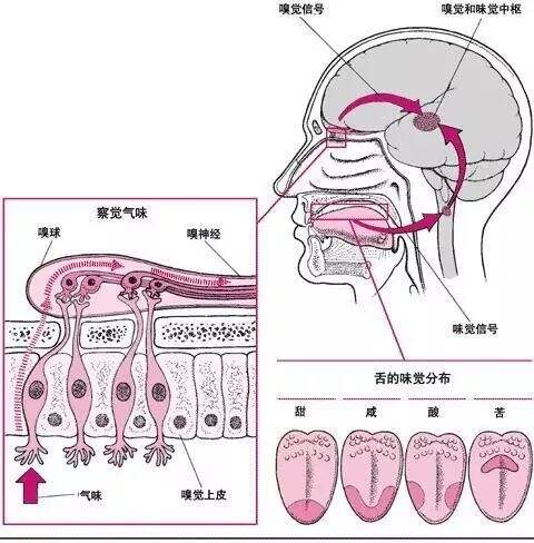 广告人干货库 十大营销学研究盘点 | 科特勒咨询-广告人干货库