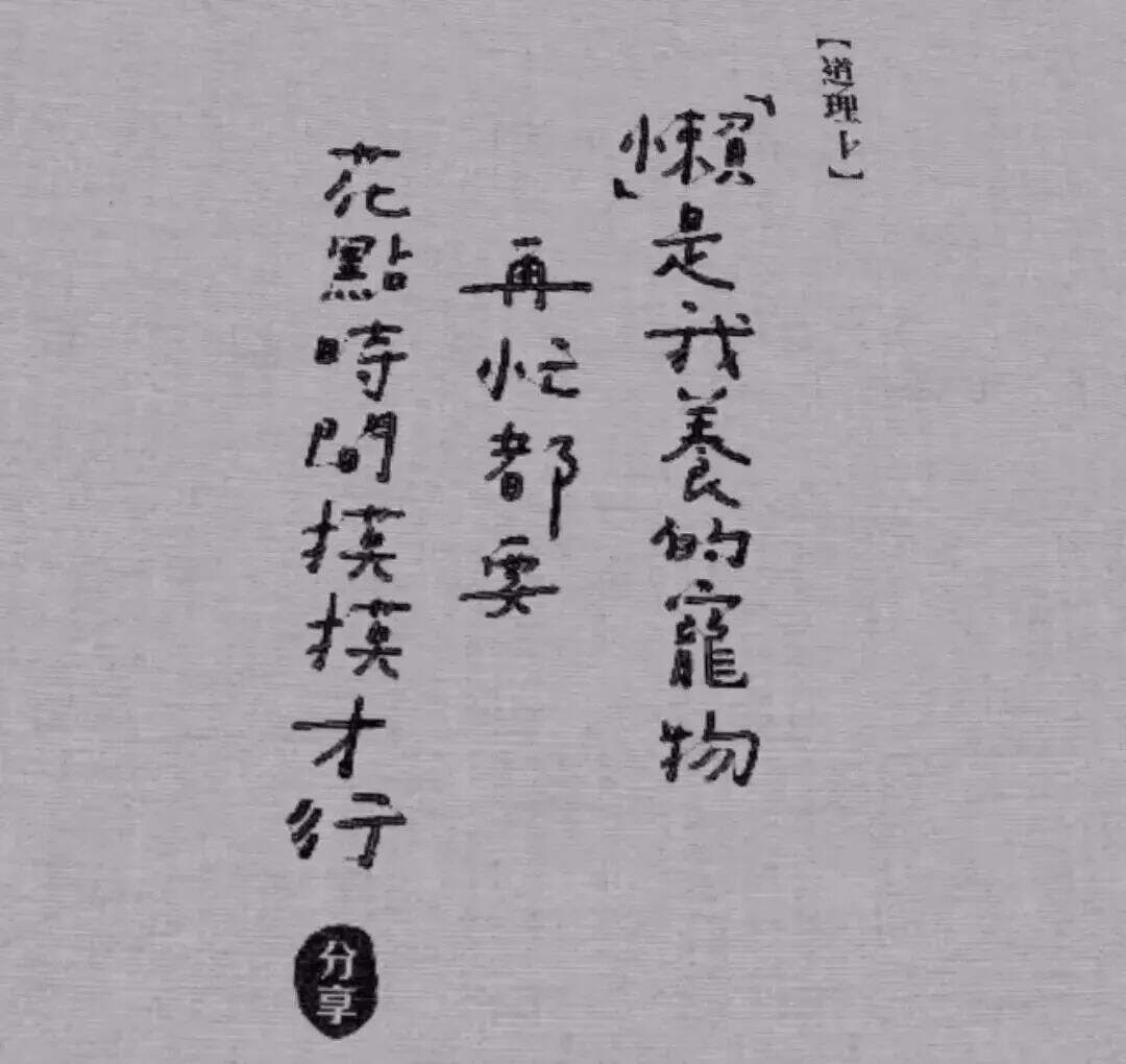广告人干货库