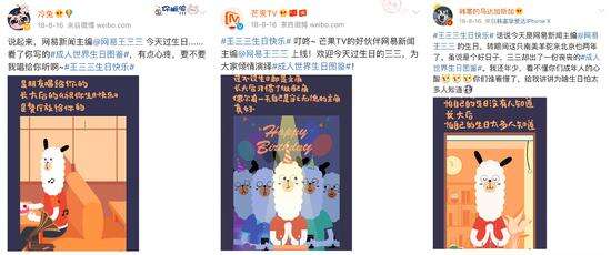 广告人干货库 网易王三三「形象焕新」案例赏析-广告人干货库