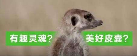 广告人干货库 网易、KEEP、999等刷屏高手告诉你,刷屏背后的秘密是什么?-广告人干货库