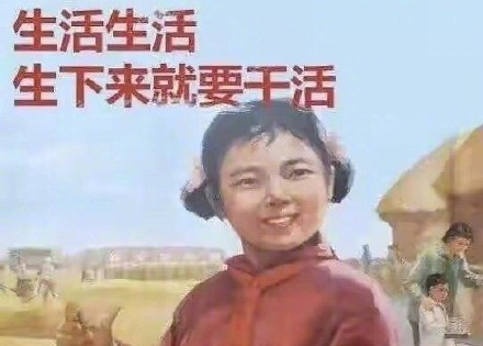 广告人干货库 打工人梗爆火,品牌们学着点-广告人干货库