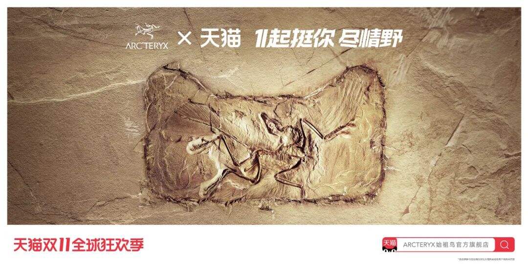 广告人干货库 2020天猫双11来了,猫头海报和slogan有什么新变化?-广告人干货库