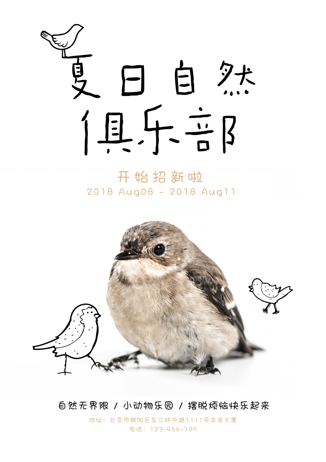 广告人干货库 广告人干货库