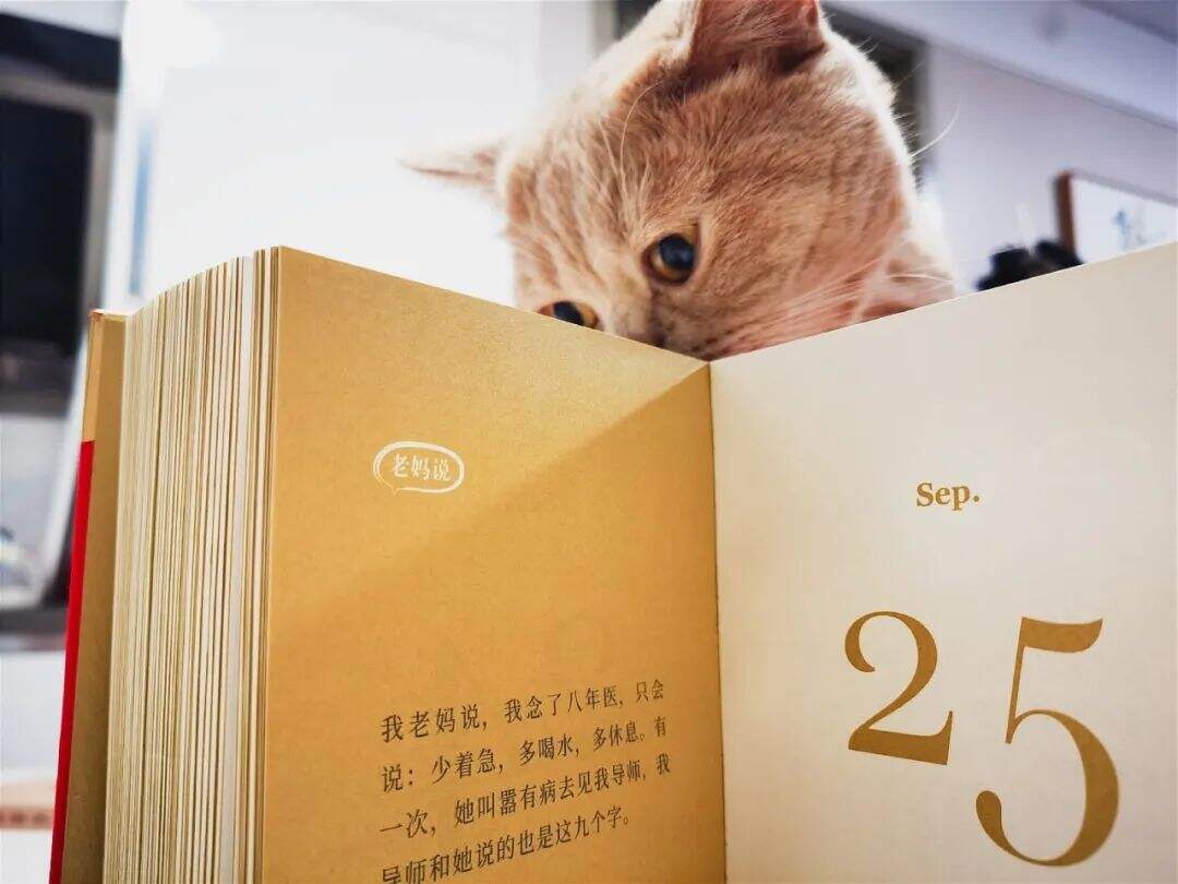 广告人干货库 冯唐2021金句日历,不愧是个诗人-广告人干货库