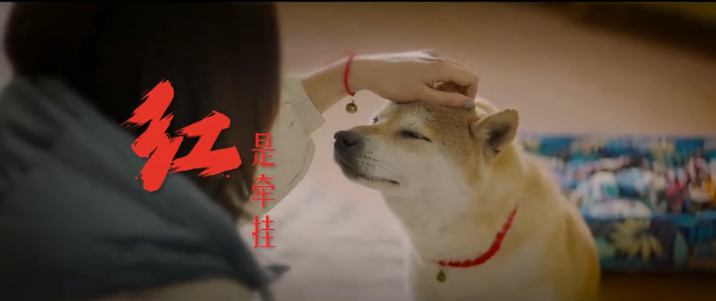 广告人干货库 为什么现在的品牌越来越“好色”?-广告人干货库