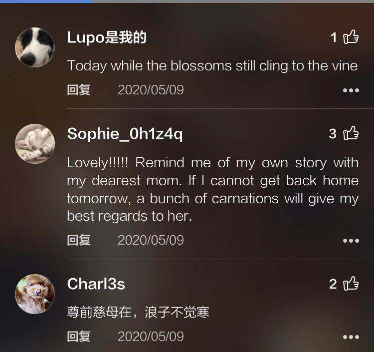 广告人干货库 海信海外母亲节TVC:出门打怪兽,回家找妈妈-广告人干货库