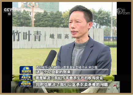 广告人干货库 竹叶青 春茶战役 守护健康-广告人干货库