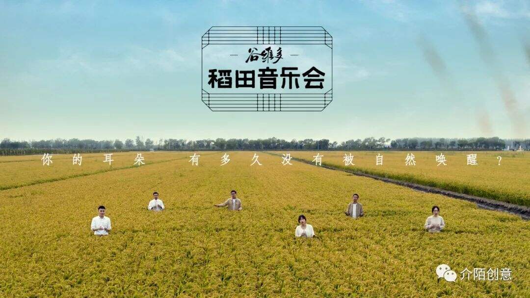 广告人干货库 金龙鱼谷维多:秋天的第一场稻田音乐会-广告人干货库