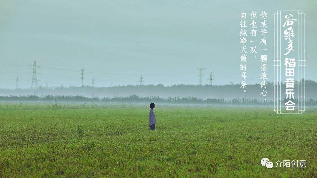 广告人干货库 金龙鱼谷维多:秋天的第一场稻田音乐会-广告人干货库