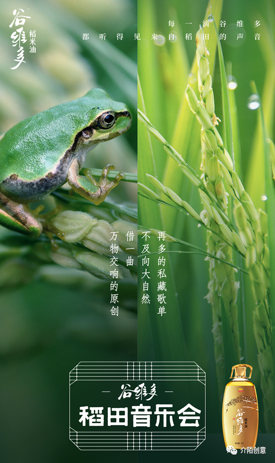 广告人干货库 金龙鱼谷维多:秋天的第一场稻田音乐会-广告人干货库