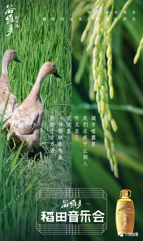 广告人干货库 金龙鱼谷维多:秋天的第一场稻田音乐会-广告人干货库